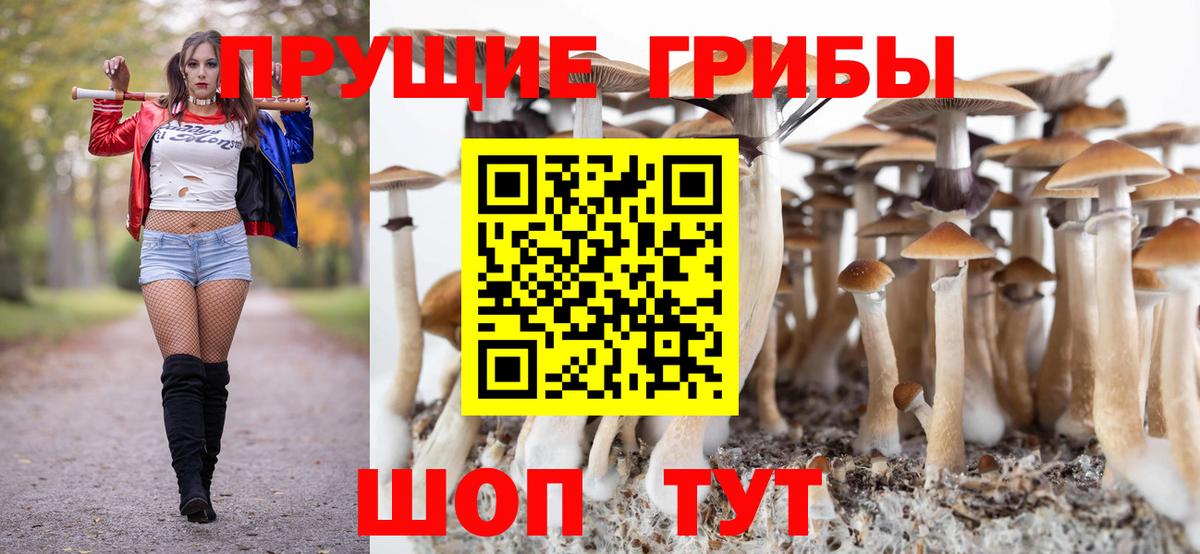 Галлюциногенные грибы Psilocybe Александров