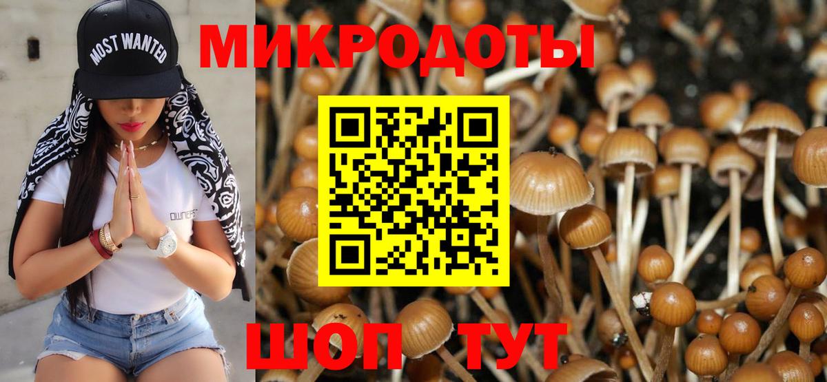 что такое   Псилоцибиновые грибы Magic Shrooms  Вход с VPN  Галлюциногенные грибы MAGIC MUSHROOMS  Александров 